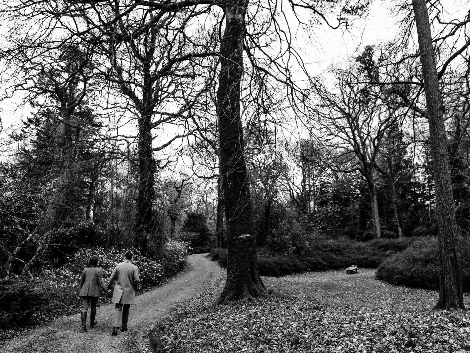 The Forest At Mount Congreve Gardens Kilmeaden Екстер'єр фото