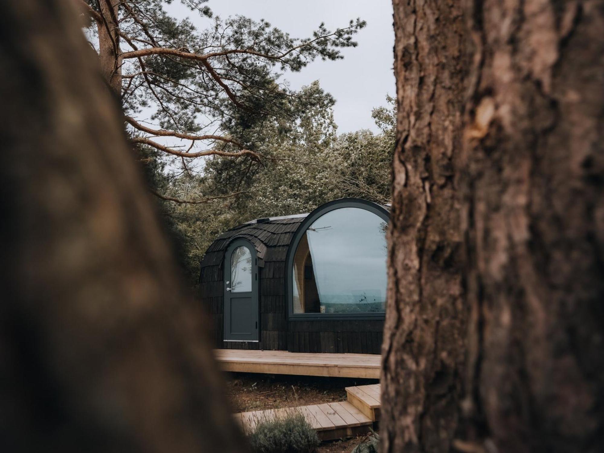 The Forest At Mount Congreve Gardens Kilmeaden Екстер'єр фото