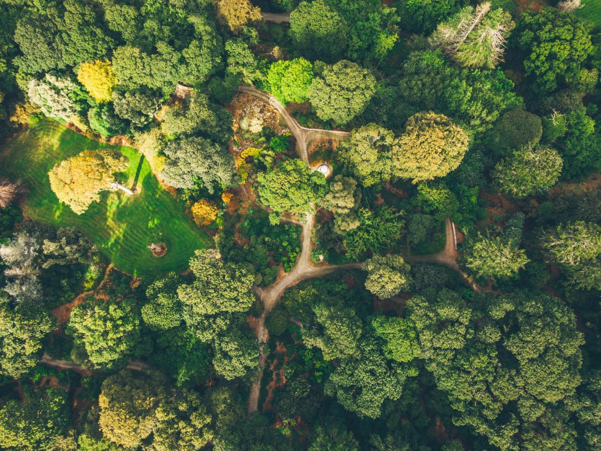 The Forest At Mount Congreve Gardens Kilmeaden Екстер'єр фото