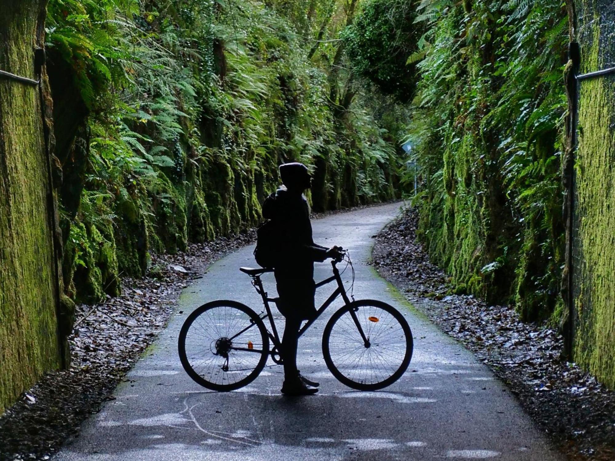 The Forest At Mount Congreve Gardens Kilmeaden Екстер'єр фото